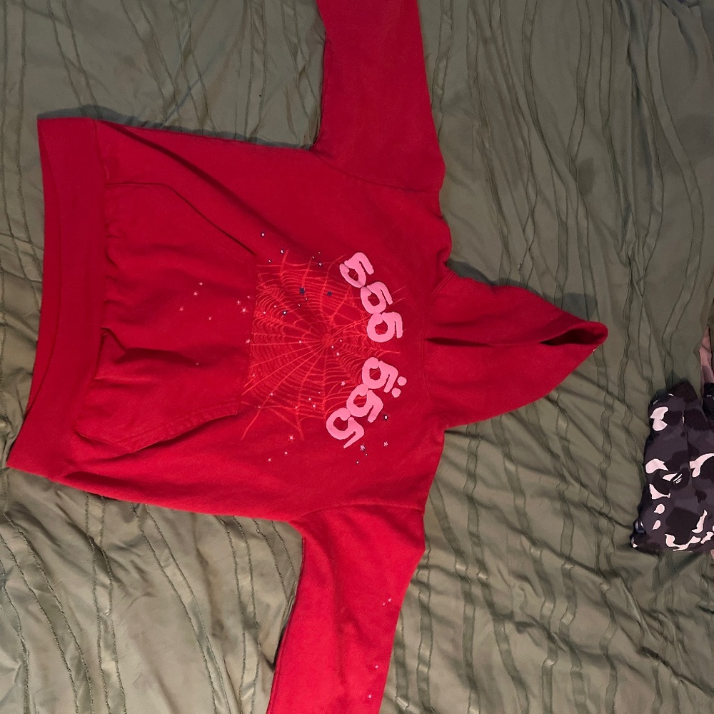 Spider Hoodie